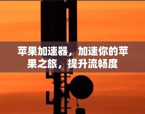 苹果加速器，加速你的苹果之旅，提升流畅度