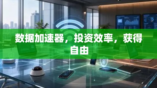 数据加速器，投资效率，获得自由