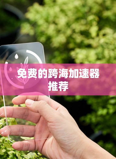 免费的跨海加速器推荐