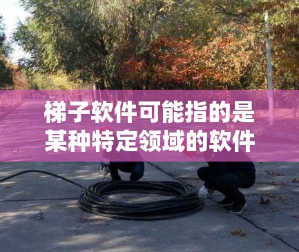 梯子软件可能指的是某种特定领域的软件工具，具有梯子的寓意，即稳定、可靠、易于使用的特性。以下是一些可能的解释和推荐