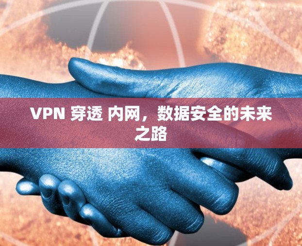 VPN 穿透 内网，数据安全的未来之路