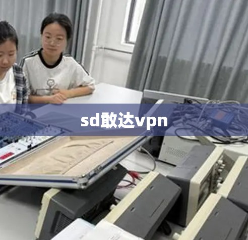 sd敢达vpn sd敢达vpn