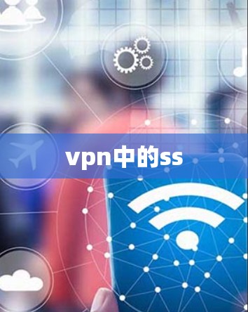 vpn中的ss vpn中的ss