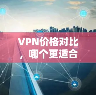 VPN价格对比，哪个更适合你的需求？