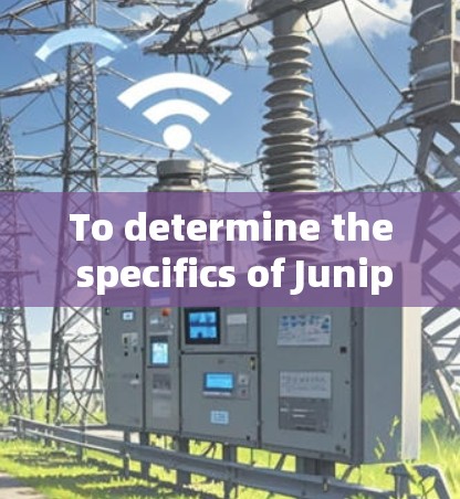 To determine the specifics of Juniper S rx VPN,consider the following organized approach: To determine the specifics of Juniper S rx VPN,consider the following organized approach: