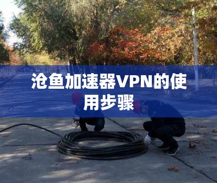 沧鱼加速器VPN的使用步骤 沧鱼加速器VPN的使用步骤