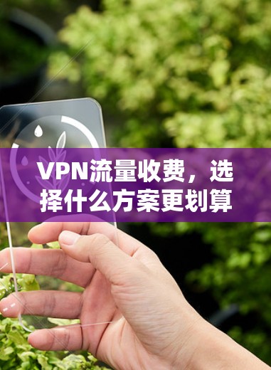 VPN流量收费,选择什么方案更划算? VPN流量收费,选择什么方案更划算?