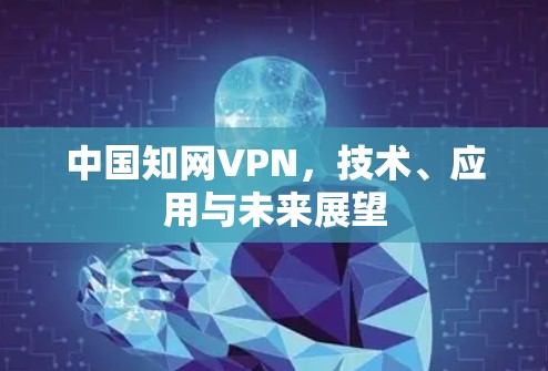 中国知网VPN,技术、应用与未来展望 中国知网VPN,技术、应用与未来展望