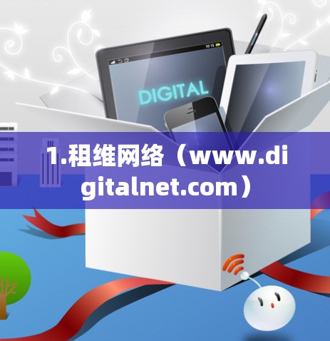1.租维网络(www.digitalnet.com) 1.租维网络(www.digitalnet.com)