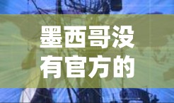墨西哥没有官方的VPN服务,但如果你对墨西哥的网络环境感兴趣,以下是一些可能的信息和建议 墨西哥没有官方的VPN服务,但如果你对墨西哥的网络环境感兴趣,以下是一些可能的信息和建议