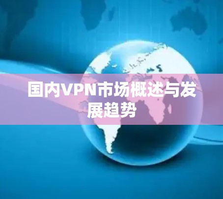 国内VPN市场概述与发展趋势