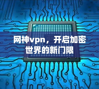 网神vpn，开启加密世界的新门限