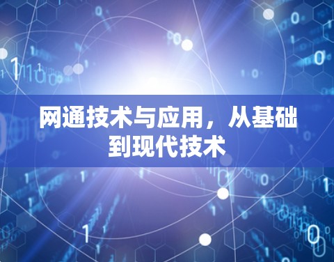 网通技术与应用,从基础到现代技术 网通技术与应用,从基础到现代技术
