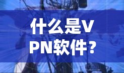 什么是VPN软件? 什么是VPN软件?