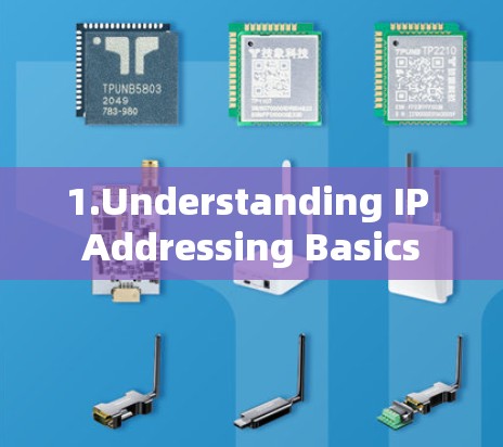 1.Understanding IP Addressing Basics