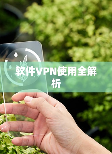 软件VPN使用全解析 软件VPN使用全解析