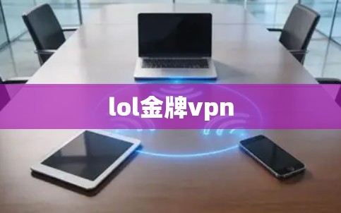 lol金牌vpn