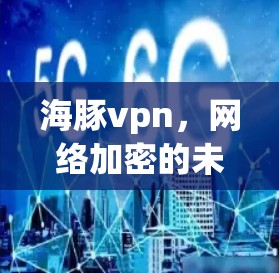 海豚vpn,网络加密的未来 海豚vpn,网络加密的未来
