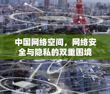 中国网络空间，网络安全与隐私的双重困境