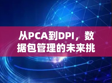 从PCA到DPI,数据包管理的未来挑战与机遇 从PCA到DPI,数据包管理的未来挑战与机遇