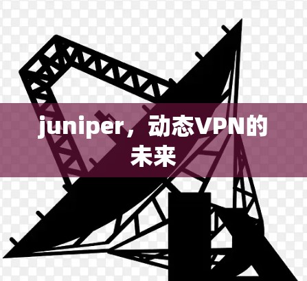 juniper,动态VPN的未来 juniper,动态VPN的未来