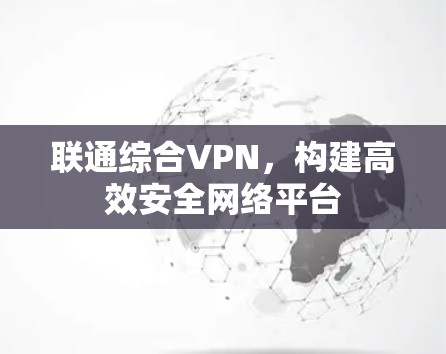 联通综合VPN，构建高效安全网络平台