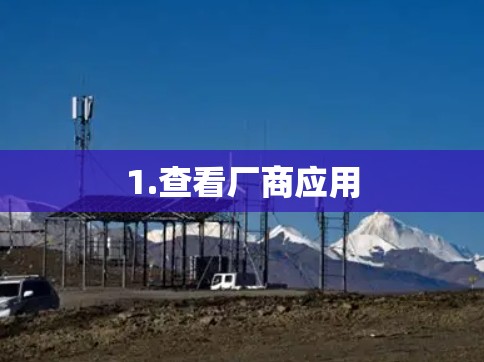 1.查看厂商应用