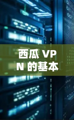 西瓜 VPN 的基本概念 西瓜 VPN 的基本概念