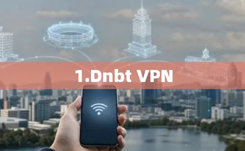 1.Dnbt VPN