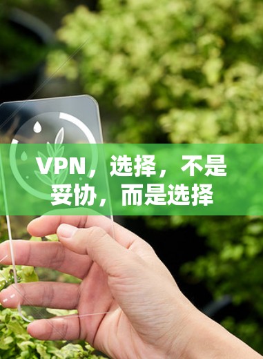 VPN,选择,不是妥协,而是选择 VPN,选择,不是妥协,而是选择