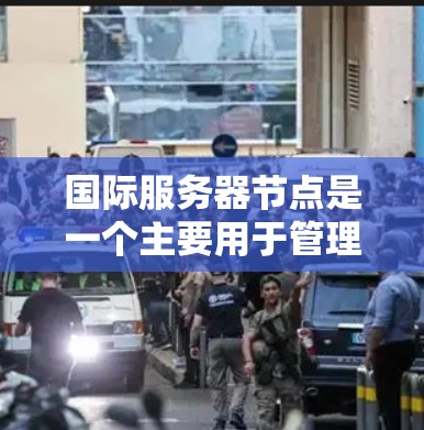 国际服务器节点是一个主要用于管理多个服务器的平台，尤其适用于同一IP地址或子网下的服务器。以下是国际服务器节点的详细配置步骤和功能
