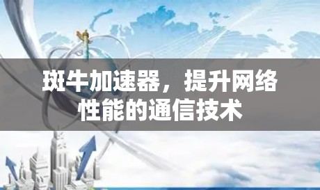 斑牛加速器，提升网络性能的通信技术