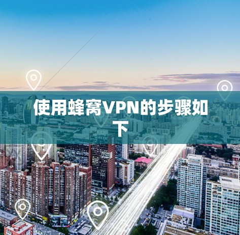 使用蜂窝VPN的步骤如下