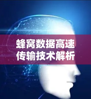 蜂窝数据高速传输技术解析