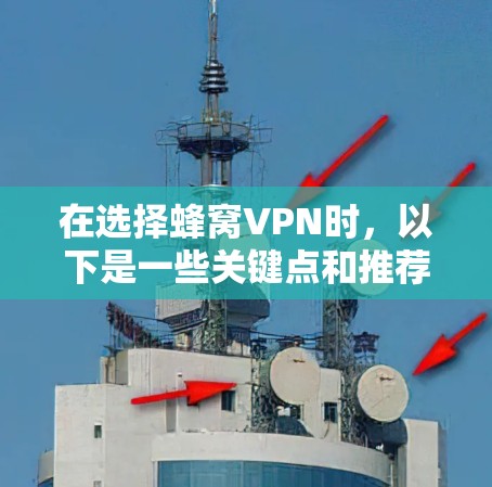 在选择蜂窝VPN时，以下是一些关键点和推荐策略，帮助您做出明智的选择