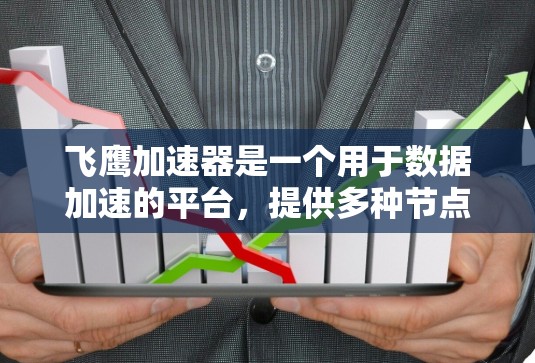 飞鹰加速器是一个用于数据加速的平台，提供多种节点供用户选择，根据需求选择合适的加速节点。以下是一些常见的飞鹰加速器节点推荐