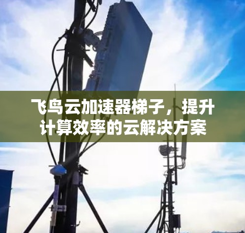 飞鸟云加速器梯子,提升计算效率的云解决方案 飞鸟云加速器梯子,提升计算效率的云解决方案