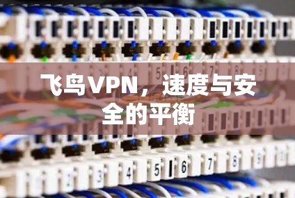 飞鸟VPN,速度与安全的平衡 飞鸟VPN,速度与安全的平衡