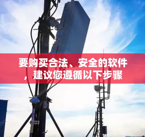 要购买合法、安全的软件，建议您遵循以下步骤