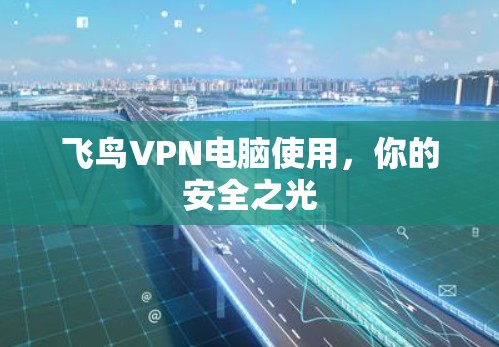 飞鸟VPN电脑使用,你的安全之光 飞鸟VPN电脑使用,你的安全之光