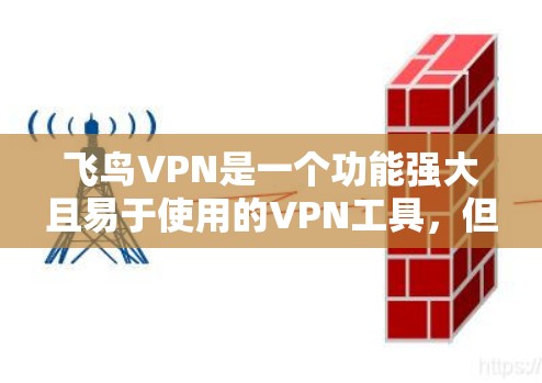 飞鸟VPN是一个功能强大且易于使用的VPN工具，但用户在使用过程中可能会遇到一些常见问题。以下是一些常见的问题及其解决方法