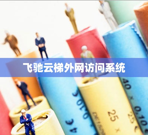 飞驰云梯外网访问系统 飞驰云梯外网访问系统