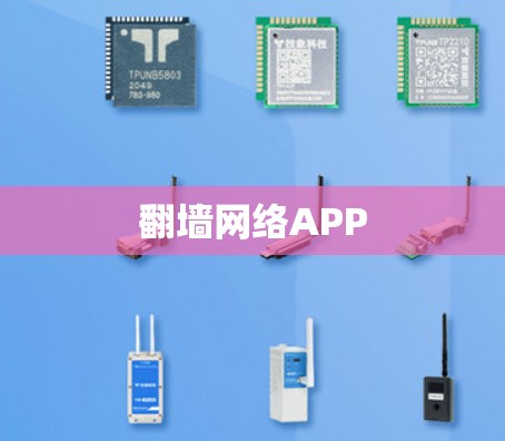 翻墙网络APP 翻墙网络APP