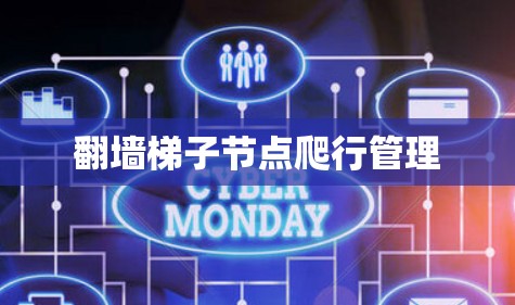 翻墙梯子节点爬行管理 翻墙梯子节点爬行管理