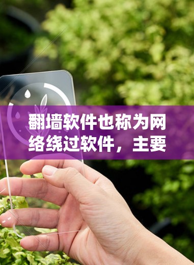 翻墙软件也称为网络绕过软件,主要用于绕过网站的访问限制,如HTTPS、缓存缓存等。以下是几种常见的翻墙软件推荐,供您参考 翻墙软件也称为网络绕过软件,主要用于绕过网站的访问限制,如HTTPS、缓存缓存等。以下是几种常见的翻墙软件推荐,供您参考