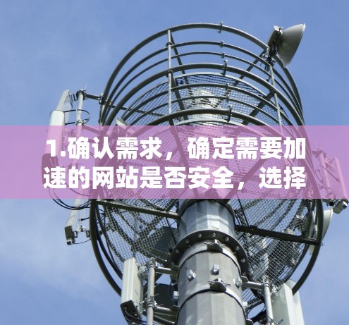 1.确认需求,确定需要加速的网站是否安全,选择合适的加速器和参数 1.确认需求,确定需要加速的网站是否安全,选择合适的加速器和参数