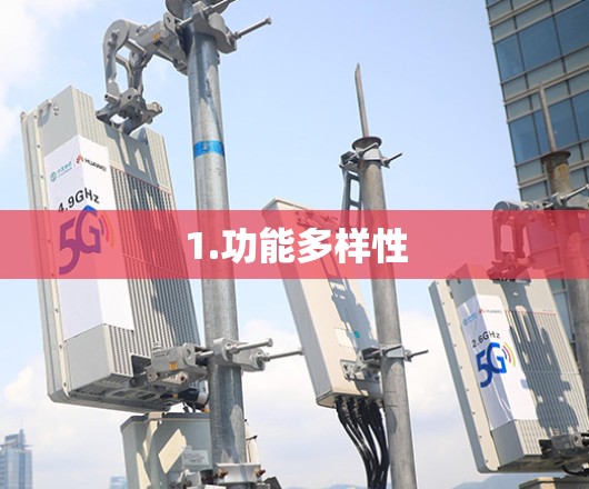 1.功能多样性 1.功能多样性
