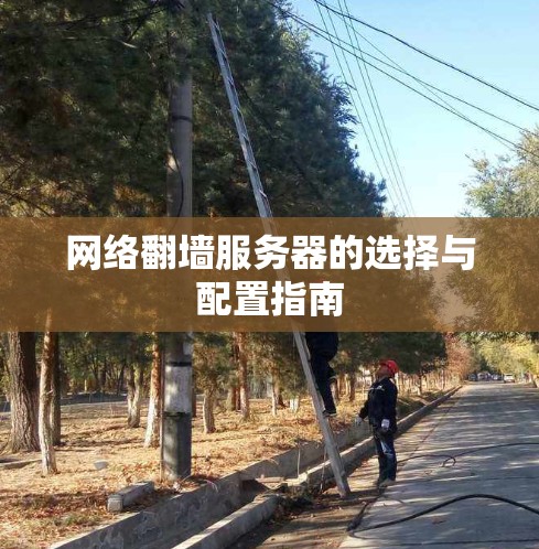 网络翻墙服务器的选择与配置指南 网络翻墙服务器的选择与配置指南