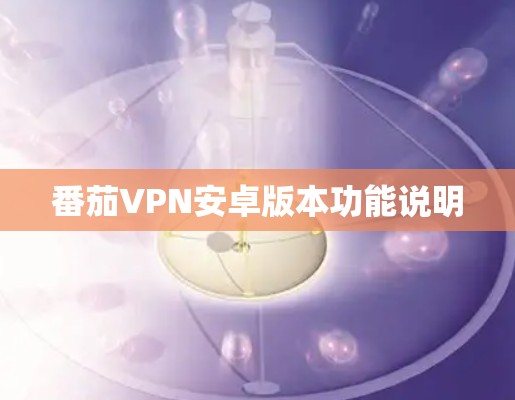 番茄VPN安卓版本功能说明 番茄VPN安卓版本功能说明