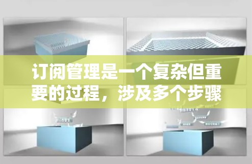 订阅管理是一个复杂但重要的过程，涉及多个步骤和参数。以下是对订阅管理的详细步骤和建议